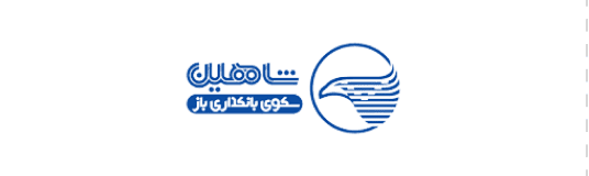 شاهین| پلت فرم ارائه دهنده خدمات بانکداری باز